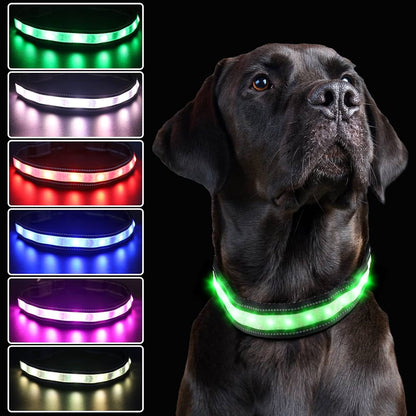 LED Halsband