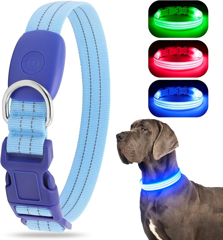 LED Halsband