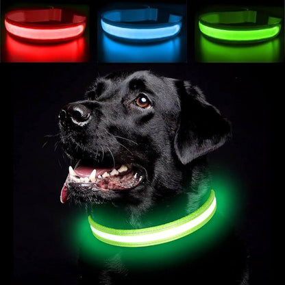 LED Halsband
