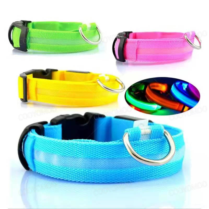 LED Halsband