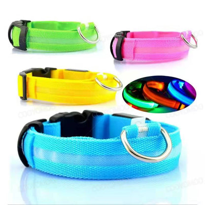 LED Halsband