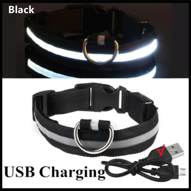 LED Halsband